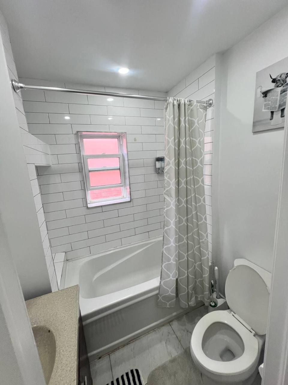 #1 Convvy-Nient Residence! Toronto Exterior photo